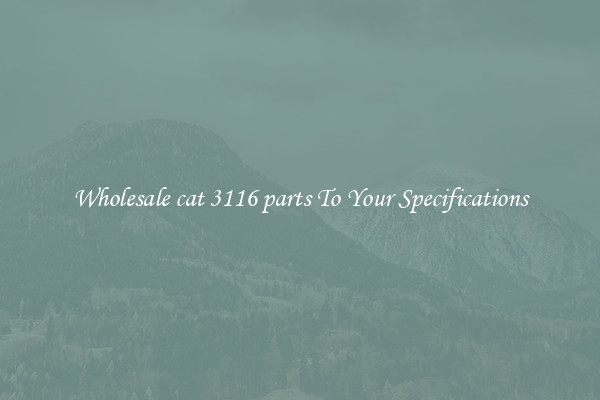 Wholesale cat 3116 parts To Your Specifications