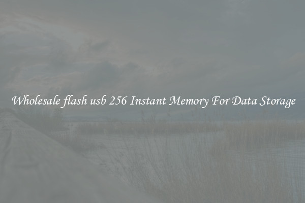 Wholesale flash usb 256 Instant Memory For Data Storage