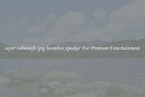 super subwoofe ipig boombox speaker For Premium Entertainment 