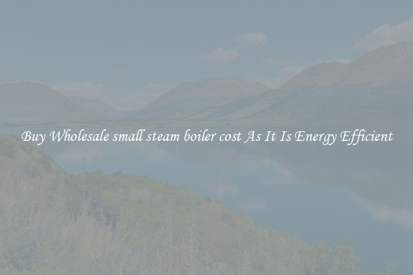 Buy Wholesale small steam boiler cost As It Is Energy Efficient