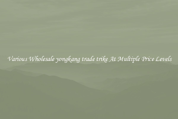 Various Wholesale yongkang trade trike At Multiple Price Levels