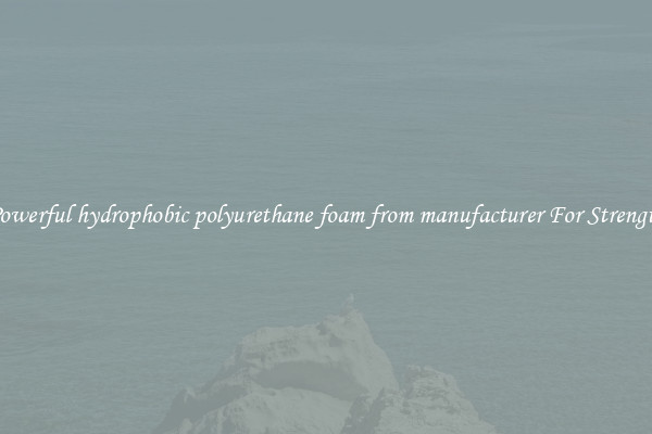 Powerful hydrophobic polyurethane foam from manufacturer For Strength