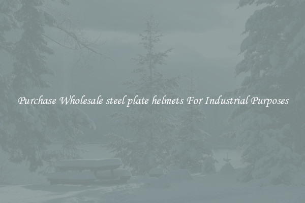 Purchase Wholesale steel plate helmets For Industrial Purposes