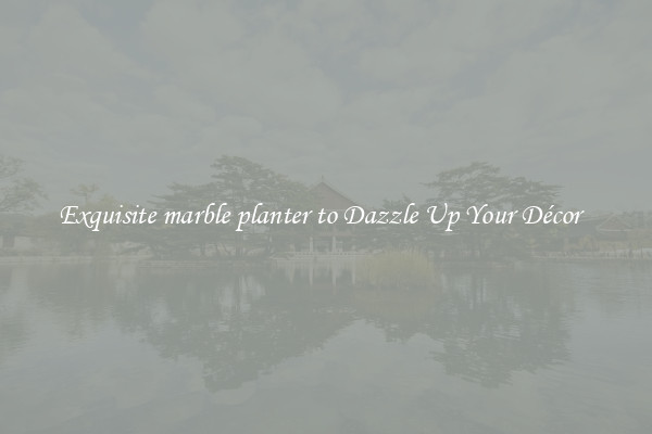 Exquisite marble planter to Dazzle Up Your Décor  