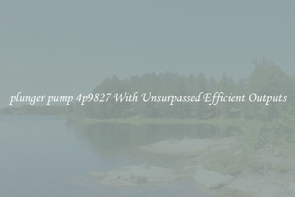 plunger pump 4p9827 With Unsurpassed Efficient Outputs