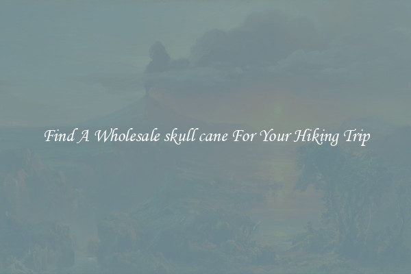 Find A Wholesale skull cane For Your Hiking Trip