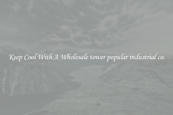 Keep Cool With A Wholesale tower popular industrial co.