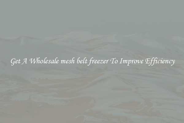Get A Wholesale mesh belt freezer To Improve Efficiency