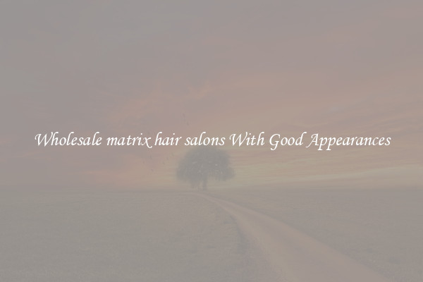 Wholesale matrix hair salons With Good Appearances
