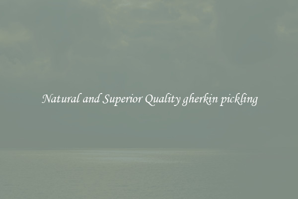 Natural and Superior Quality gherkin pickling