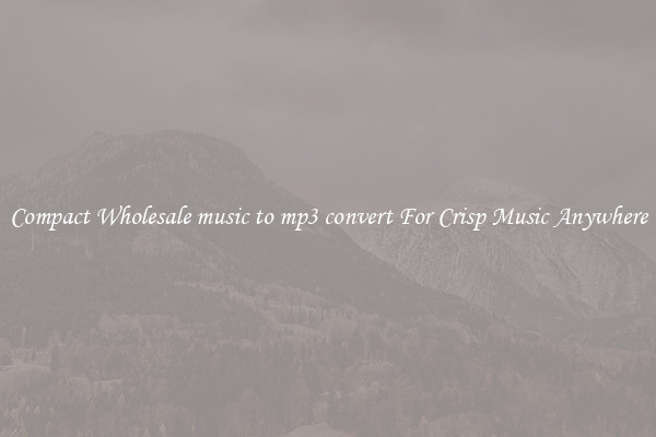 Compact Wholesale music to mp3 convert For Crisp Music Anywhere