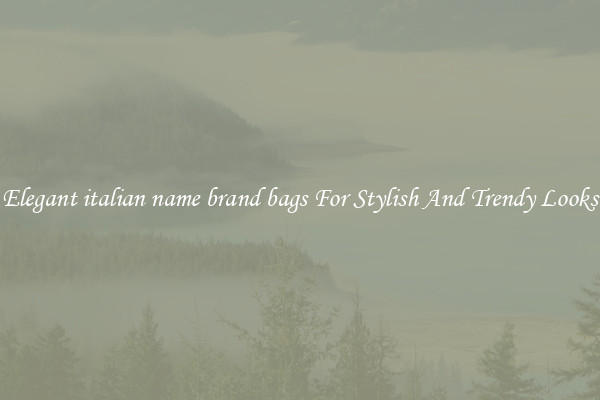 Elegant italian name brand bags For Stylish And Trendy Looks
