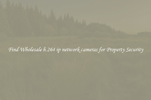 Find Wholesale h.264 ip network cameras for Property Security