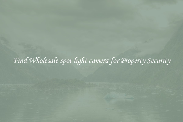 Find Wholesale spot light camera for Property Security