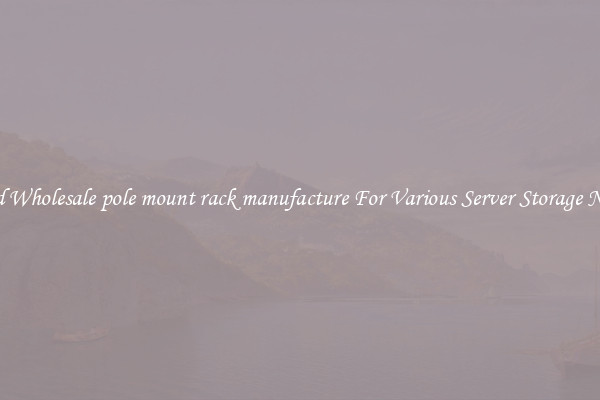 Solid Wholesale pole mount rack manufacture For Various Server Storage Needs