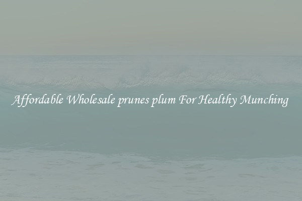 Affordable Wholesale prunes plum For Healthy Munching 