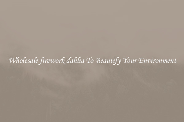 Wholesale firework dahlia To Beautify Your Environment