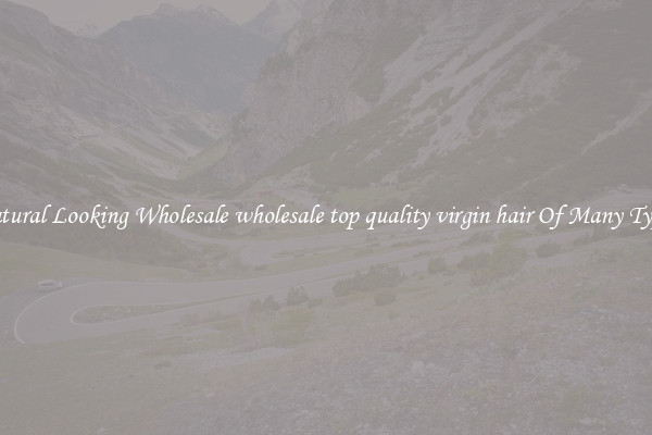 Natural Looking Wholesale wholesale top quality virgin hair Of Many Types